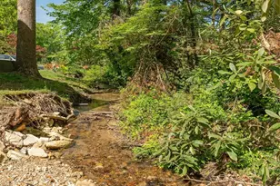 55 Lake Dr, Laurel Park, NC 28739 - Photo 18