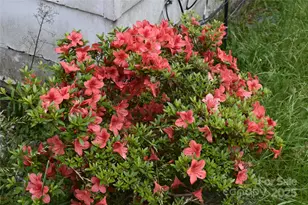 18417 Hwy 221 Hwy N, Marion, NC 28752 - Photo 8