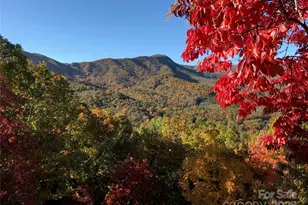 65 Timber Park Dr, Black Mountain, NC 28711 - Photo 12