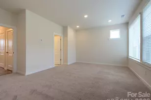 1120 Bismuth Ln, Charlotte, NC 28211 - Photo 24