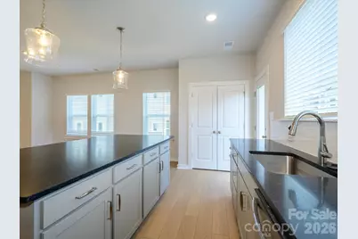 1104 Bismuth Lane, Charlotte, NC 28211 - Photo 12