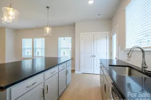 1104 Bismuth Ln, Charlotte, NC 28211 - Photo 12