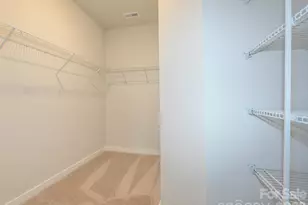 1104 Bismuth Ln, Charlotte, NC 28211 - Photo 28