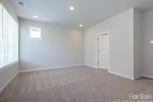 1104 Bismuth Ln, Charlotte, NC 28211 - Photo 24