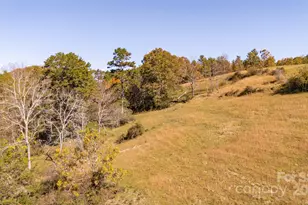 318 Monticello Rd, Weaverville, NC 28787 - Photo 12