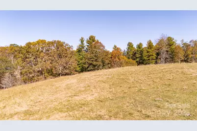 318 Monticello Road, Weaverville, NC 28787 - Photo 14