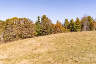 318 Monticello Rd, Weaverville, NC 28787 - Photo 14