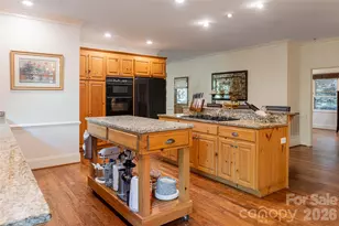 75 Cougar Ln, Saluda, NC 28773 - Photo 18