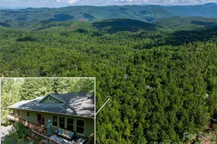 75 Cougar Ln, Saluda, NC 28773 - Photo 2