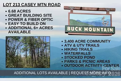 Tbd Casey Mountain Road #213, Purlear, NC 28665 - Photo 1