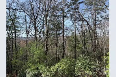 Tbd Casey Mountain Road #213, Purlear, NC 28665 - Photo 2