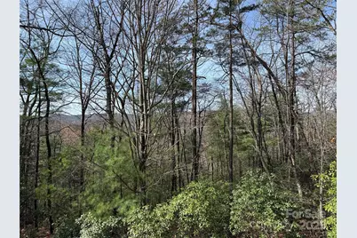 Tbd Casey Mountain Road #213, Purlear, NC 28665 - Photo 14