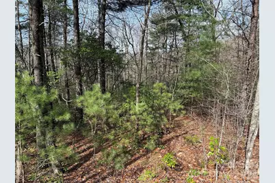 Tbd Casey Mountain Road #213, Purlear, NC 28665 - Photo 16