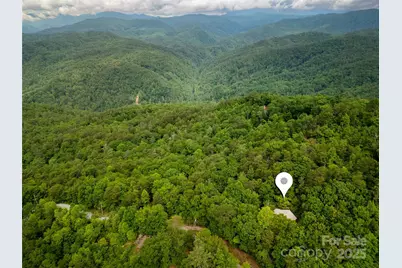 261 Franks Cove Road, Brevard, NC 28712 - Photo 4