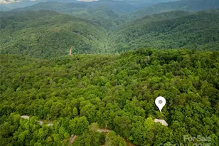 261 Franks Cv Rd, Brevard, NC 28712 - Photo 4