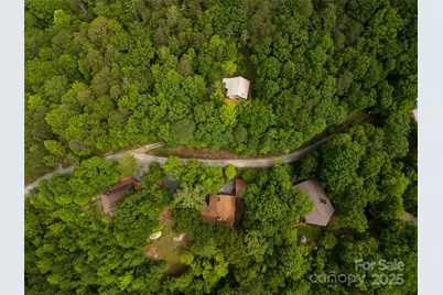 261 Franks Cove Road, Brevard, NC 28712 - Photo 34