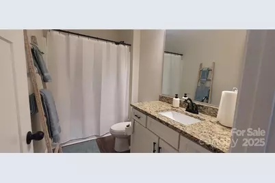 132 Connestee Road, Brevard, NC 28712 - Photo 20