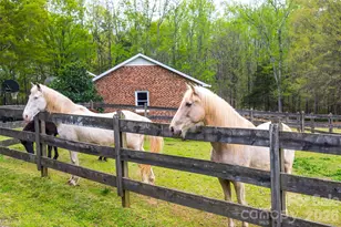 7712 Old Waxhaw Monroe Rd, Waxhaw, NC 28173 - Photo 40