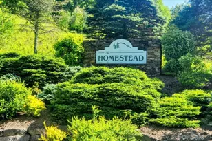 Tbd Lucky Leaf Ln, Vilas, NC 28692 - Photo 1