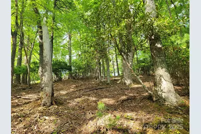 Tbd Lucky Leaf Lane, Vilas, NC 28692 - Photo 6
