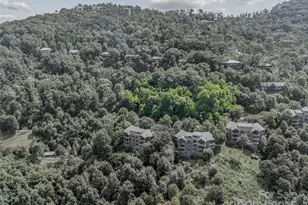 Lot 9 & 10 Andrew Banks Rd, Burnsville, NC 28714 - Photo 8