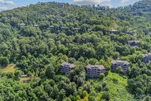 Lot 9 & 10 Andrew Banks Rd, Burnsville, NC 28714 - Photo 6