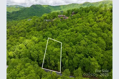 52 Settings Boulevard, Black Mountain, NC 28711 - Photo 2