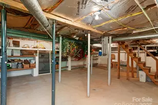 229 Crabtree Mountain Rd, Canton, NC 28716 - Photo 36