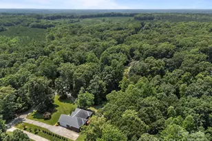 10501 Mount Olive Estates Dr, Mount Pleasant, NC 28124 - Photo 46