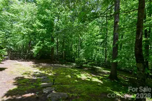 1 E Owl Creek Ln, Fairview, NC 28730 - Photo 30