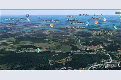 3100 Peniel Road, Tryon, NC 28782 - Photo 2