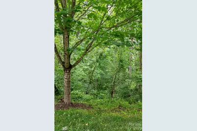 22 Samuel Ashe Drive #45, Asheville, NC 28805 - Photo 12