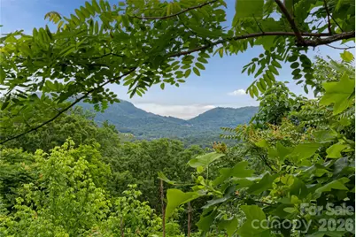 22 Samuel Ashe Drive #45, Asheville, NC 28805 - Photo 1