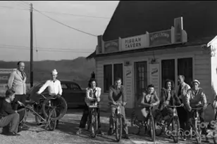 668 Old Hendersonville Hwy, Brevard, NC 28712 - Photo 48