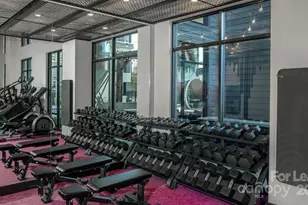 1015 N Alexander St, Charlotte, NC 28206 - Photo 16