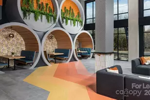 1015 N Alexander St, Charlotte, NC 28206 - Photo 8