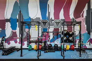 1015 N Alexander St, Charlotte, NC 28206 - Photo 16