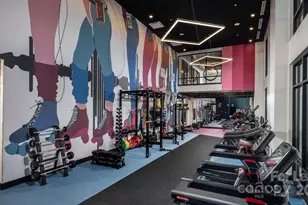 1015 N Alexander St, Charlotte, NC 28206 - Photo 14