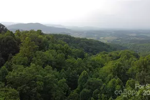 171 View Ridge Pkwy, Leicester, NC 28748 - Photo 32