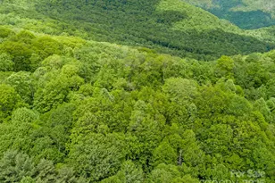 000 N Ridge Runner Rd, Burnsville, NC 28714 - Photo 8