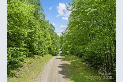 000 N Ridge Runner Road #92, Burnsville, NC 28714 - Photo 2