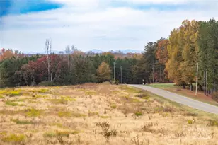 309 Sain Rd, Statesville, NC 28625 - Photo 48