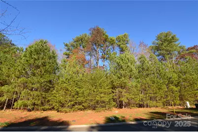 3228 Ashwood Park Drive #294, Belmont, NC 28012 - Photo 6