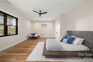 233 Westridge Farm Rd, Asheville, NC 28804 - Photo 40