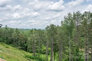 233 Westridge Farm Rd, Asheville, NC 28804 - Photo 42