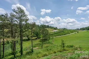 233 Westridge Farm Rd, Asheville, NC 28804 - Photo 4