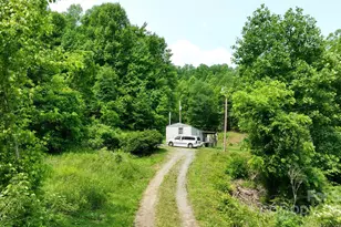 320 Board Tree Rd, Marshall, NC 28753 - Photo 8