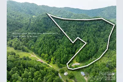 320 Board Tree Road, Marshall, NC 28753 - Photo 1