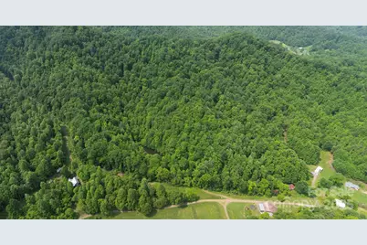 320 Board Tree Road, Marshall, NC 28753 - Photo 12