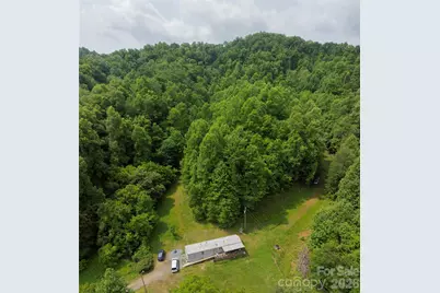 320 Board Tree Road, Marshall, NC 28753 - Photo 4